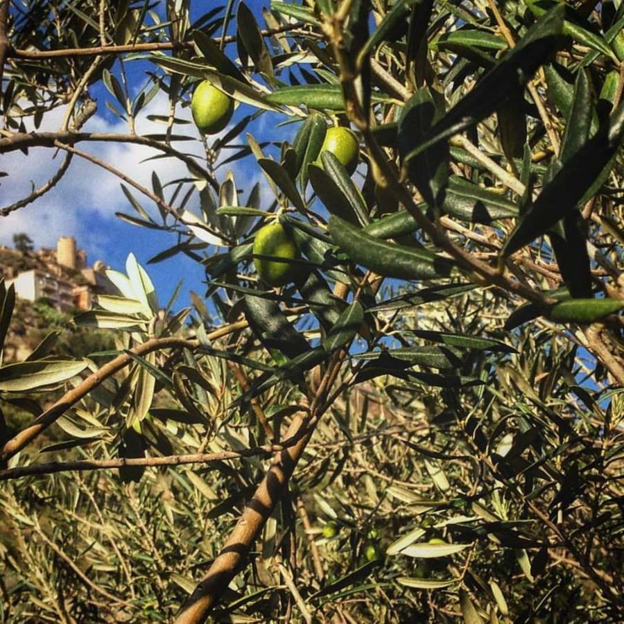 Experience Il Paesino Licodia Eubea